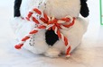 【『SNOOPY'S BROTHER OLAF 鏡餅オラフのぬいぐるみチャーム BOOK』(宝島社)】縁起のいい紅白の水引を背負っています