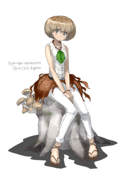 *手描きイラスト　創作　オリジナル　真暗森のキノコ姫「アカヤマドリ」 透明水彩　色鉛筆 A5水彩紙* 本物保証，限定セール *手描きイラスト 創作 オリジナル 真暗森の