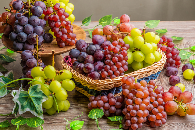 ぶどうの食べ比べ＆食べ放題