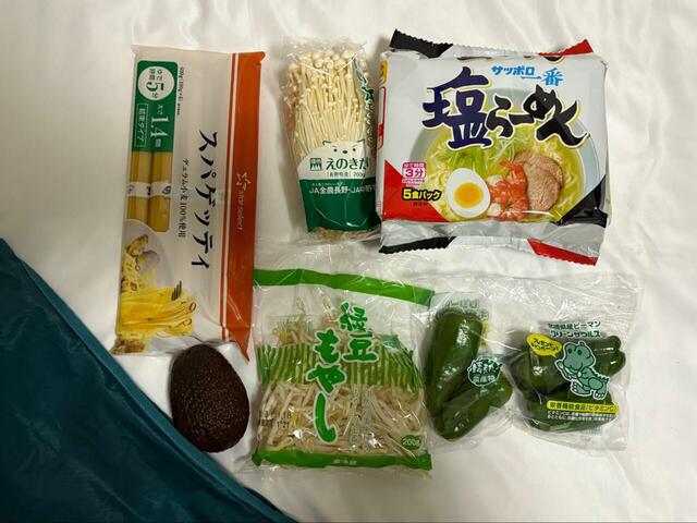 【mont-bell　U.L.MONO ショルダー L】エコバッグとして使ってみました。これらの食品がちょうど入るくらいの容量です