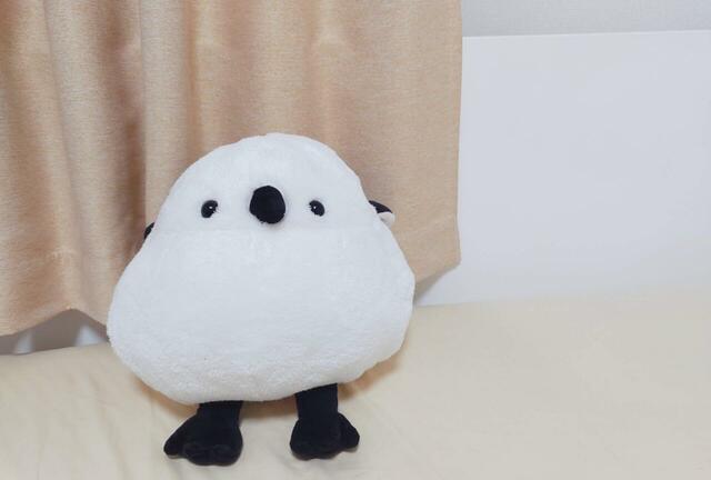 ベッド周りにおいて、インテリアやお昼寝用まくらにも