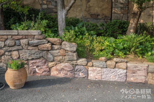 パペリーノ通り