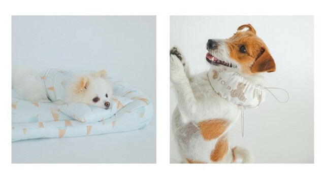 【GELATO PIQUE CAT&DOG(ジェラート ピケ キャットアンドドッグ)】アイテムも登場♪