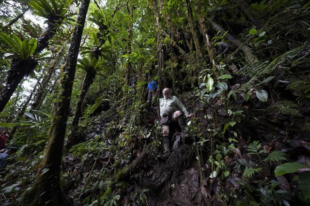 『エクスプローラー 世界最後の秘境テプイ』