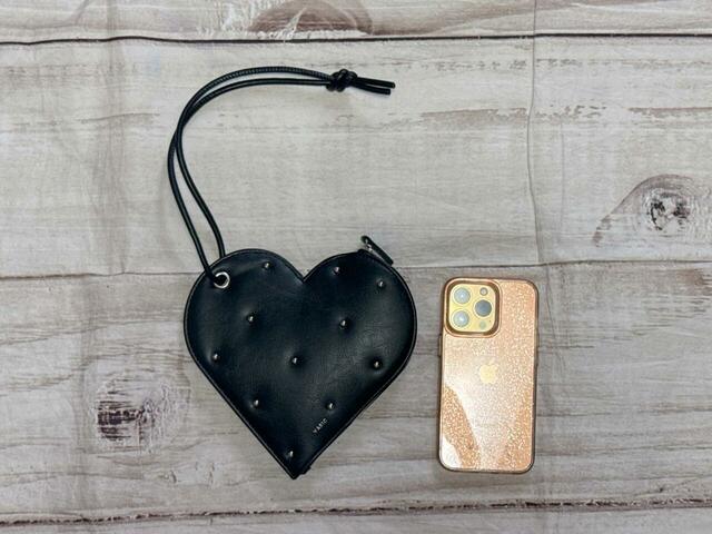 iPhone13Proと並べてみました