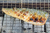 鯖の炭火焼き