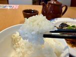 【バーミヤン　日替わりランチ】ご飯はつやつやとした見た目で、おかずによく合います