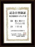 「​​​11月14日を「韓メシ・韓スイーツ 「アンニョン」の日」に制定」【アンニョンの夏の福袋「サマーバッグ」が今年も登場！4000円分のお食事クーポンやオリジナルグッズが詰まって”3000円”！】