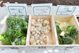 農家指定のこだわり野菜
