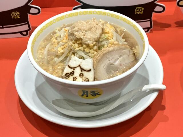 小（ハチワレ） 1,760円