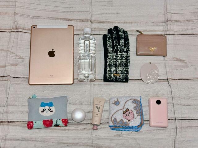 これだけの荷物が収納可能!