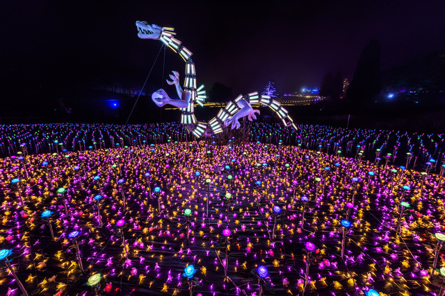 アパリゾート上越妙高イルミネーション2016 『幻想庭園』