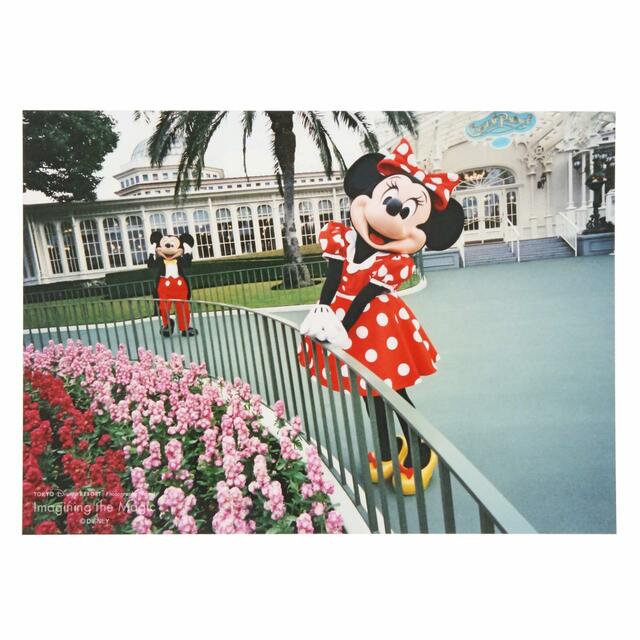写真 500円｜東京ディズニーリゾート・フォトグラフィープロジェクト「イマジニング・ザ・マジック」第2弾グッズ｜東京ディズニーリゾート40周年“ドリームゴーラウンド”｜発売日：2023年12月7日（木）｜販売店舗：東京ディズニーランド「グランドエンポーリアム」、東京ディズニーシー「ヴァレンティーナズ･スウィート」