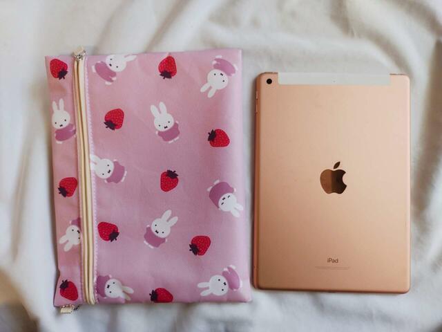 iPadが入る大きさです