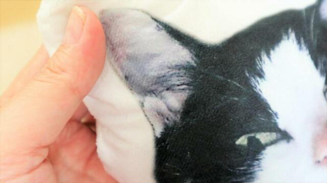 【ワールドライド百貨店 オリジナルペットクッション】元画像を修正して耳もばっちり