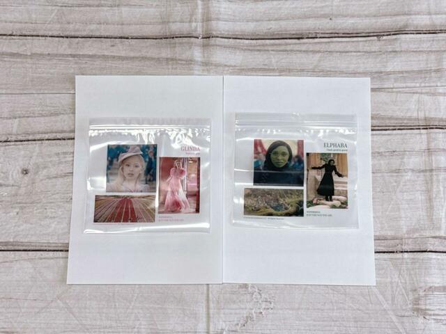 ジップバッグは2種類×15枚、合計30枚入っています