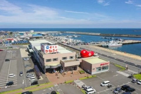 提供:かねふく めんたいパーク大洗