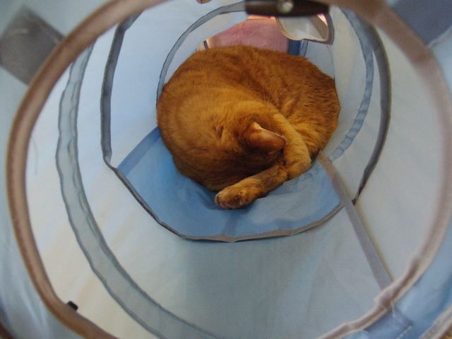 トンネルの中で丸！