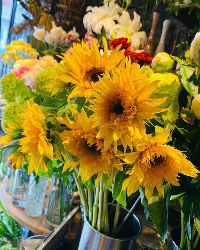 ひまわりの切花（Flower Market Kazua）