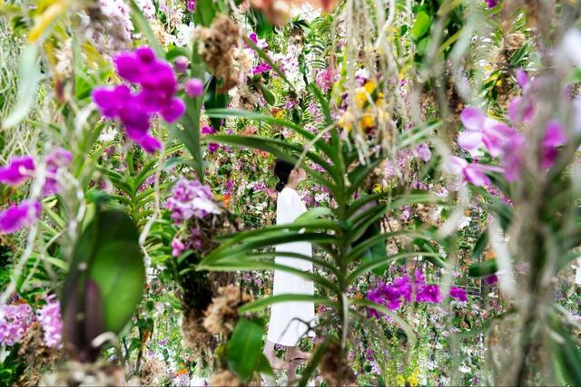 「チームラボプラネッツ TOKYO DMM」