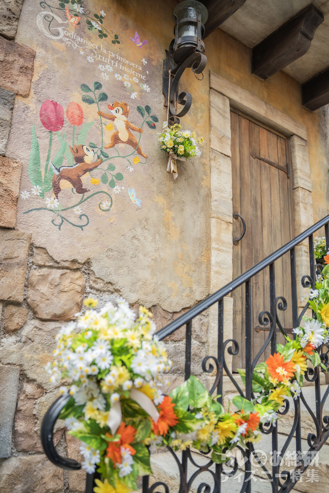 パペリーノ通り