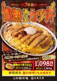 50年目の情熱追い玉カツ丼