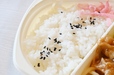 【ライフの冷凍弁当／豚生姜焼き弁当】ご飯はとってもシンプル。おかずがしっかり味なのでちょうどよいおいしさ