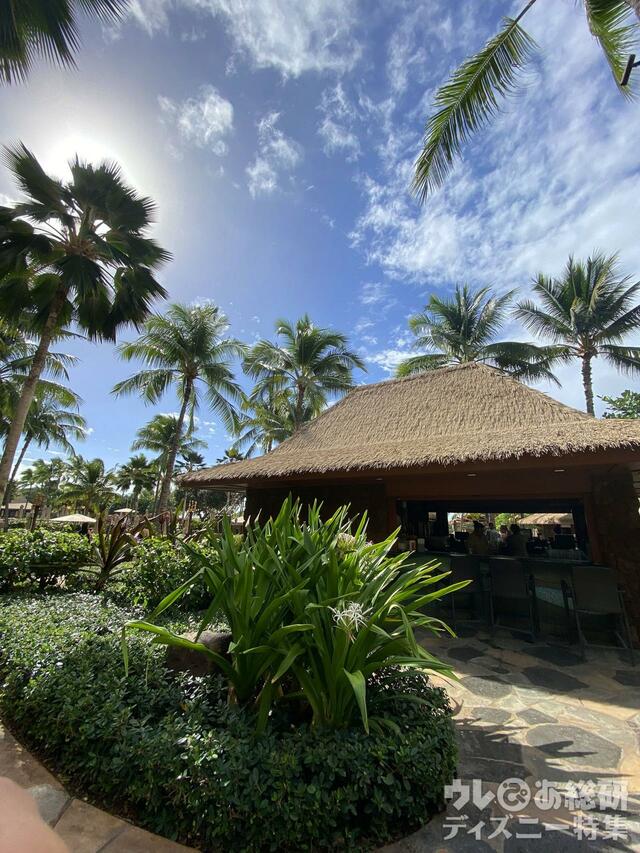 アウラニの風景