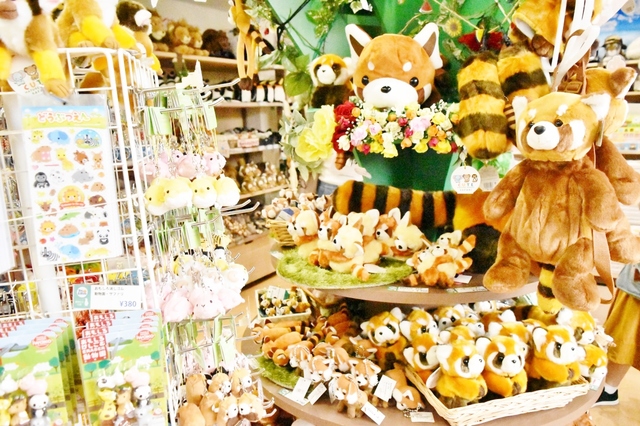 お土産で人気なのはやっぱりレッサーパンダのぬいぐるみ