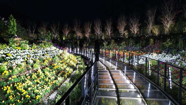 フラワーラグーン イルミネーション