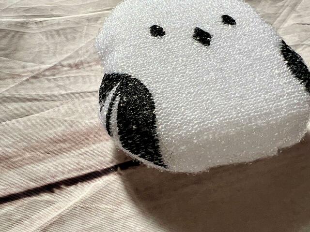 よく見るとキラキラしており、まさに雪の妖精！