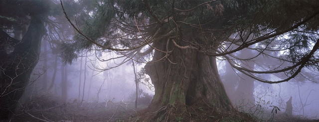 ©2017 AQUA DESIGN AMANO CO.,LTD.