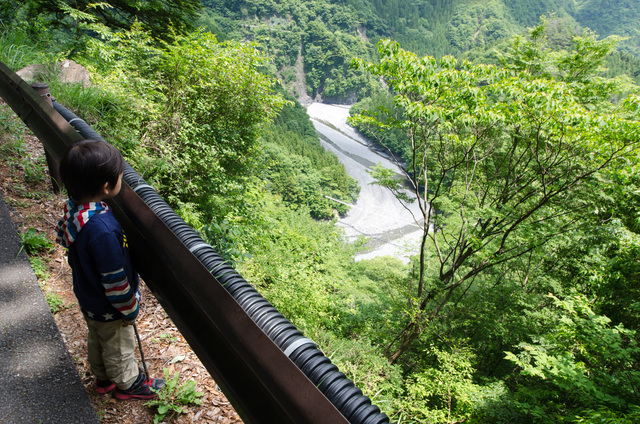 いきなりこの絶景｜「夢の吊り橋」散策ルート：寸又峡プロムナード