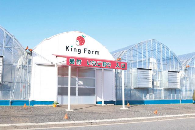 ハウス内は大型ファンによる定期的な換気を行っている【King Farm Cafe】