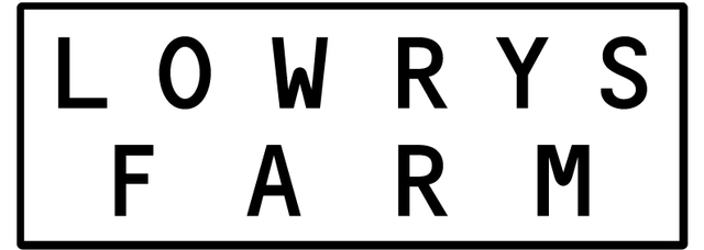 【LOWRYS FARM「ちいかわ」スペシャルコレクション】1/24（土）より「ちいかわ」スペシャルコレクション全10型が登場！