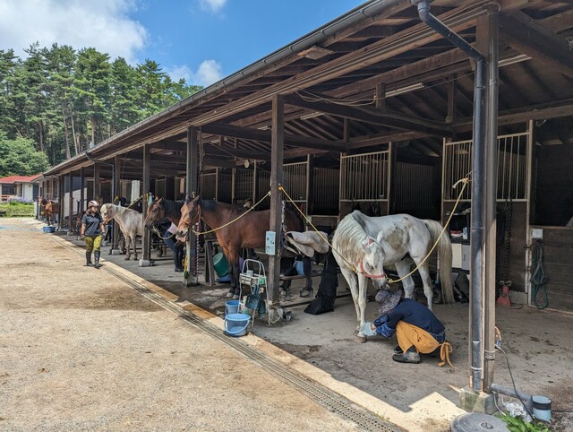 【リゾナーレ八ヶ岳】旅育プログラム「馬の学校」