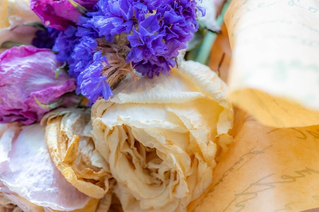 トワニーイメージ写真3