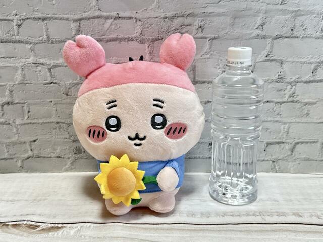 【エニマイくじ　ちいかわ～ちいかわと夏の思い出～】「9．ぬいぐるみ（古本屋）」サイズは約全長22cm。抱っこするのにも飾るのにもちょうどいい大きさ