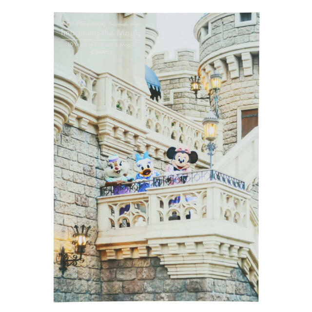 写真 500円｜東京ディズニーリゾート「イマジニング・ザ・マジック」グッズ第2弾｜販売店舗：東京ディズニーランド「グランドエンポーリアム」、東京ディズニーシー「エンポーリオ」｜発売日：2025年2月13日（木）