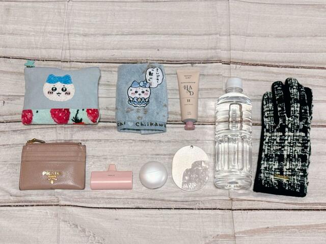 これだけのものが収納可能です!