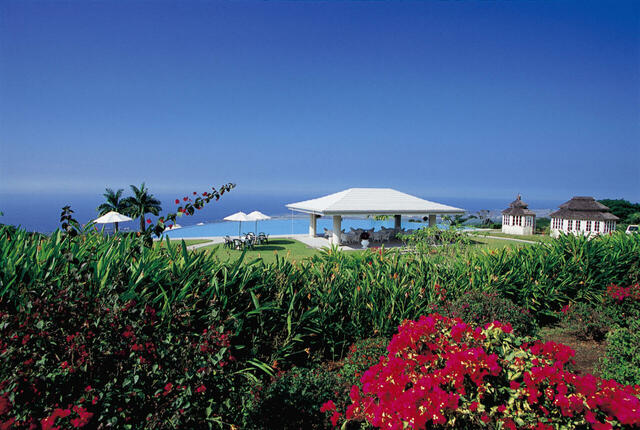 「45周年記念コーヒー「アニバーサリーブレンド ～マウカメドウズ物語～」」【ドトールコーヒー45周年！“人気のミラノサンド”や“ジャーマンビッグドック”が期間限定で復活します！】