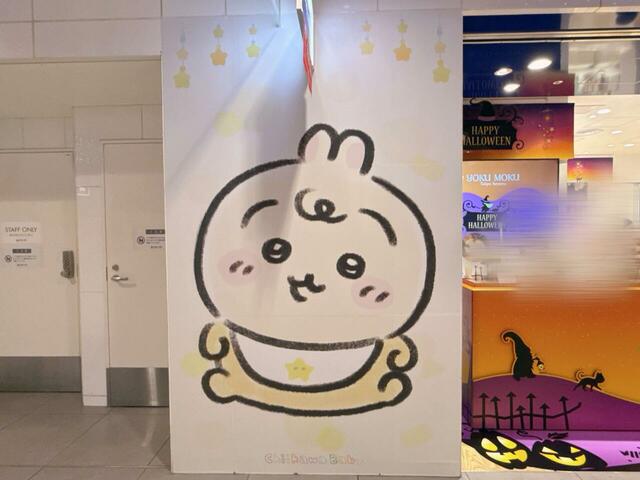 ベビーなのにどっしり構えた姿が貫禄のあるうさぎ。こういう赤ちゃん、いますよね！