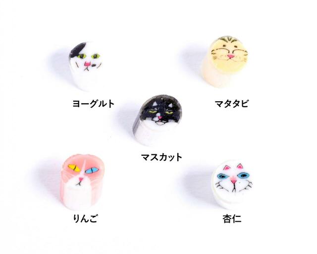 マタタビの成分を持つキウイのフレーバーなど味にもこだわった「我が家のねこミックス」