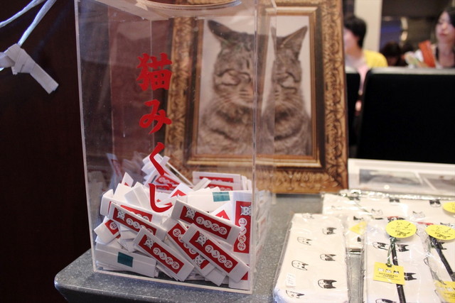 ありがたーい(？)「猫みくじ」なんてものもありました。猫好きはまんまとひいてしまうのです……。