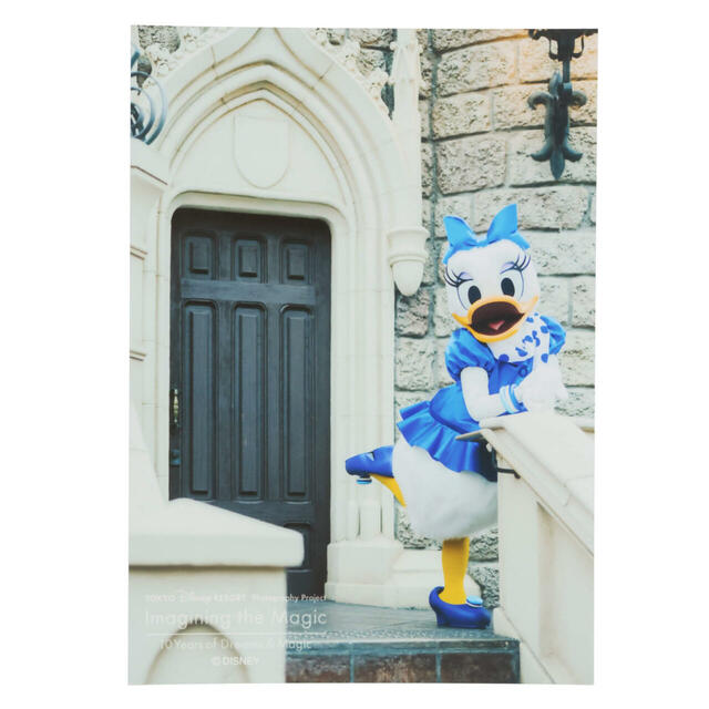 写真 500円｜東京ディズニーリゾート「イマジニング・ザ・マジック」グッズ第2弾｜販売店舗：東京ディズニーランド「グランドエンポーリアム」、東京ディズニーシー「エンポーリオ」｜発売日：2025年2月13日（木）