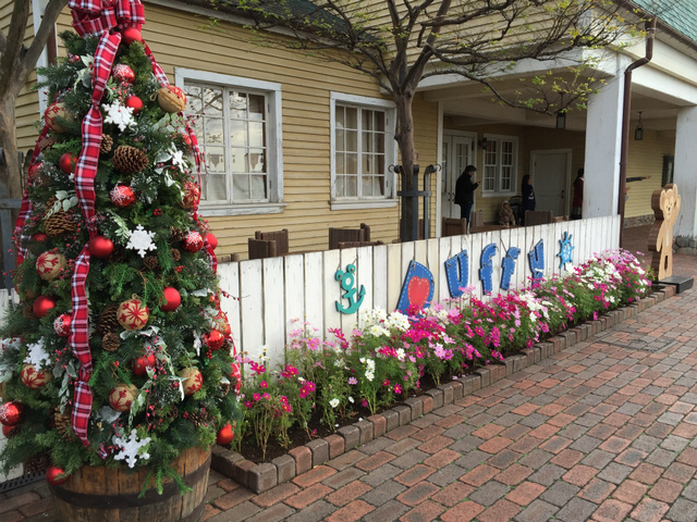 ケープコッド・クックオフの鑑賞エリア付近のツリー