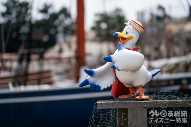 2023夏 ケープコッドデコレーション