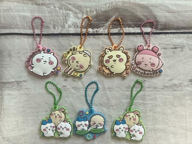 今回出会えた6種類。どれもかわいいです！