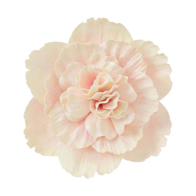 ウォールフラワー ピオニー