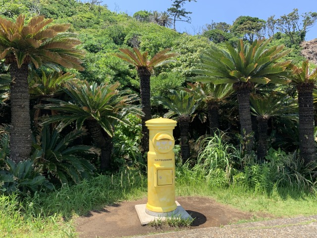 黄色いポスト